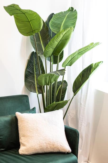 Le Refuge - Residence Hestia แซงต์-เอเตียน ภายนอก รูปภาพ
